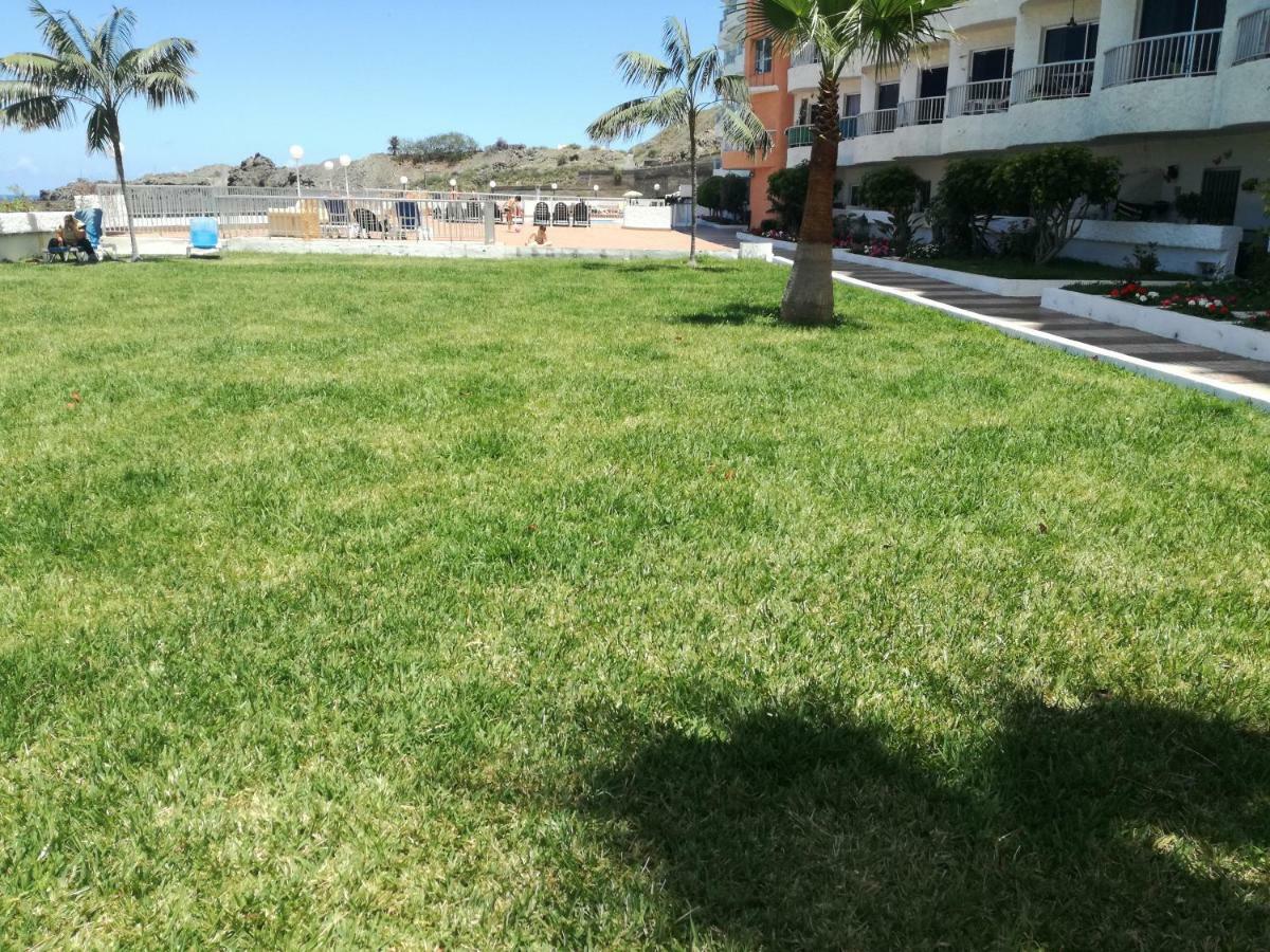 Apartamento Monis Natura Icod De Los Vinos Dış mekan fotoğraf